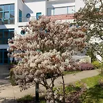 Sanssouci - 37-12 - Strandstrasse-ostseestern Kuehlungsborn